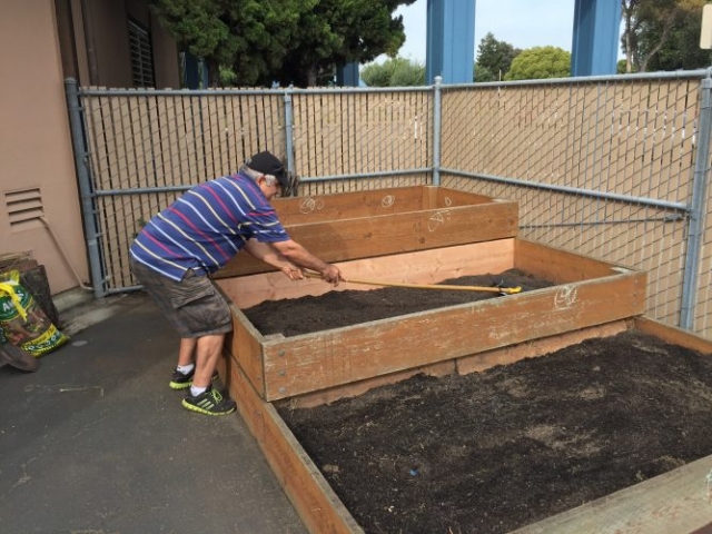 Getting the planting beds ready for the garden
